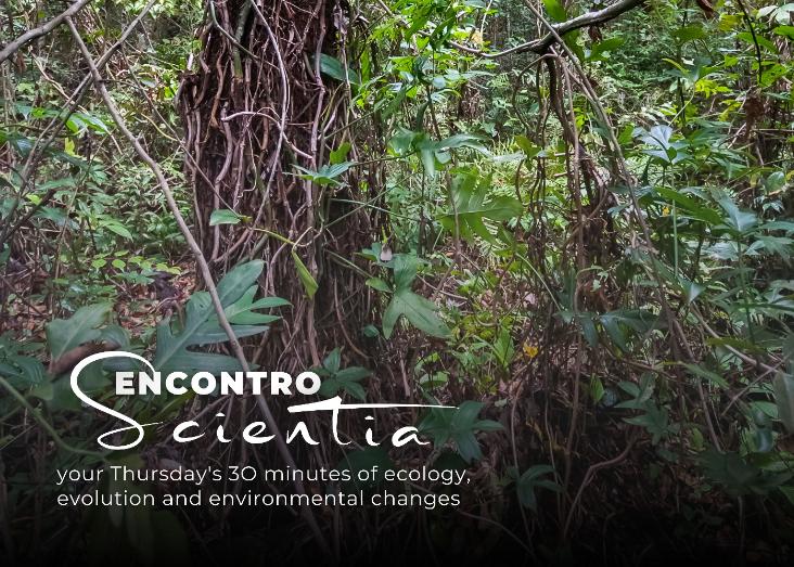 Insights into how water-table depth affects the vitality of a tropical dune forest Insights into how water-table depth affects the vitality of a tropical dune forest